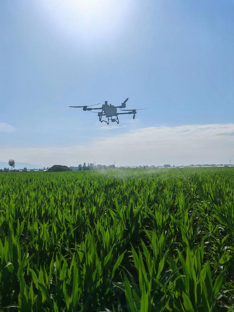  XPeng Aeroht Completes Overseas Maiden Flight in Dubai, Signs Bulk Order for 600 Flying Cars with Four Middle Eastern Nations 