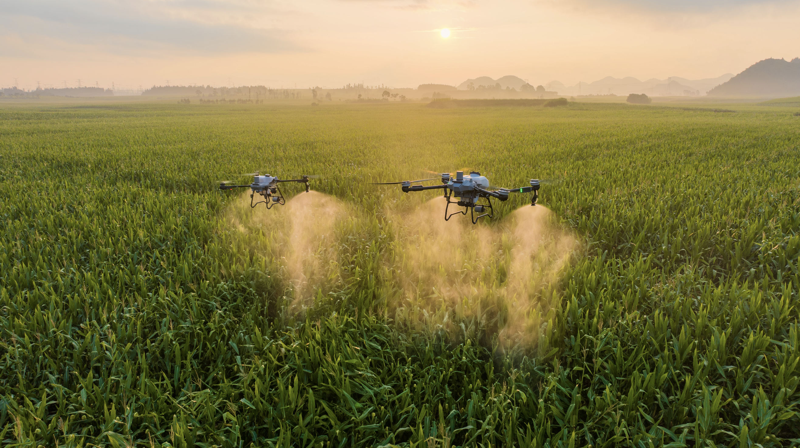 Analyzing the Current Status and Trends of Global Development of Plant Protection Drones